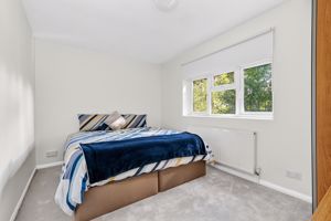 Photo 41- click for photo gallery